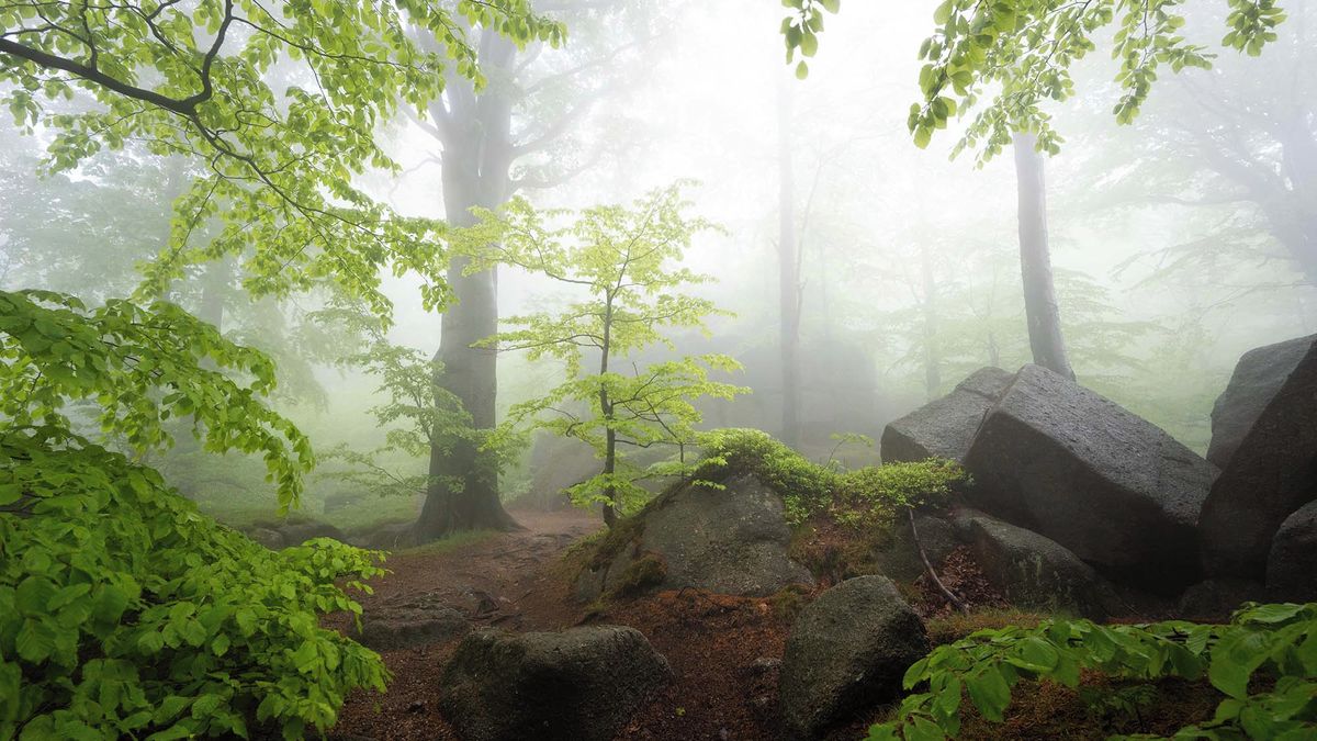 Pravidla focení krajiny je dobré znát, ale nemusíte se jimi řídit, radí fotograf